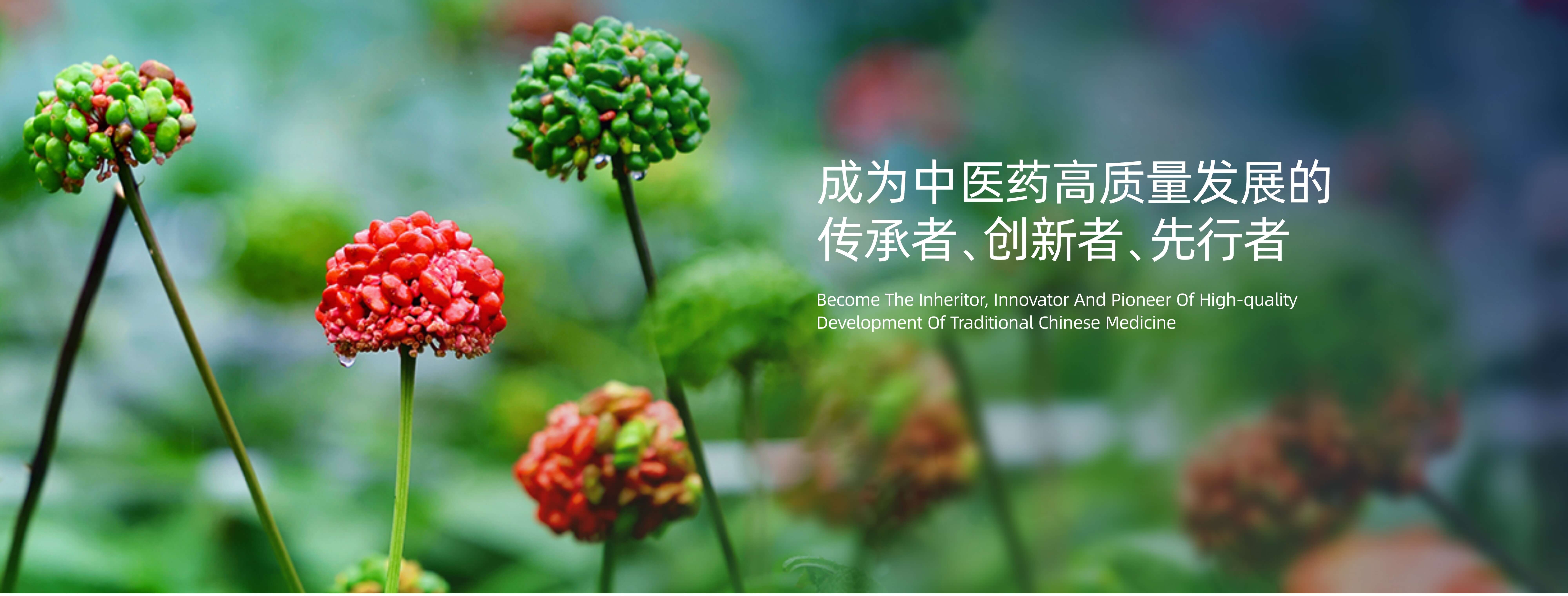 糖果派对 - 更优质的游戏运营商官网