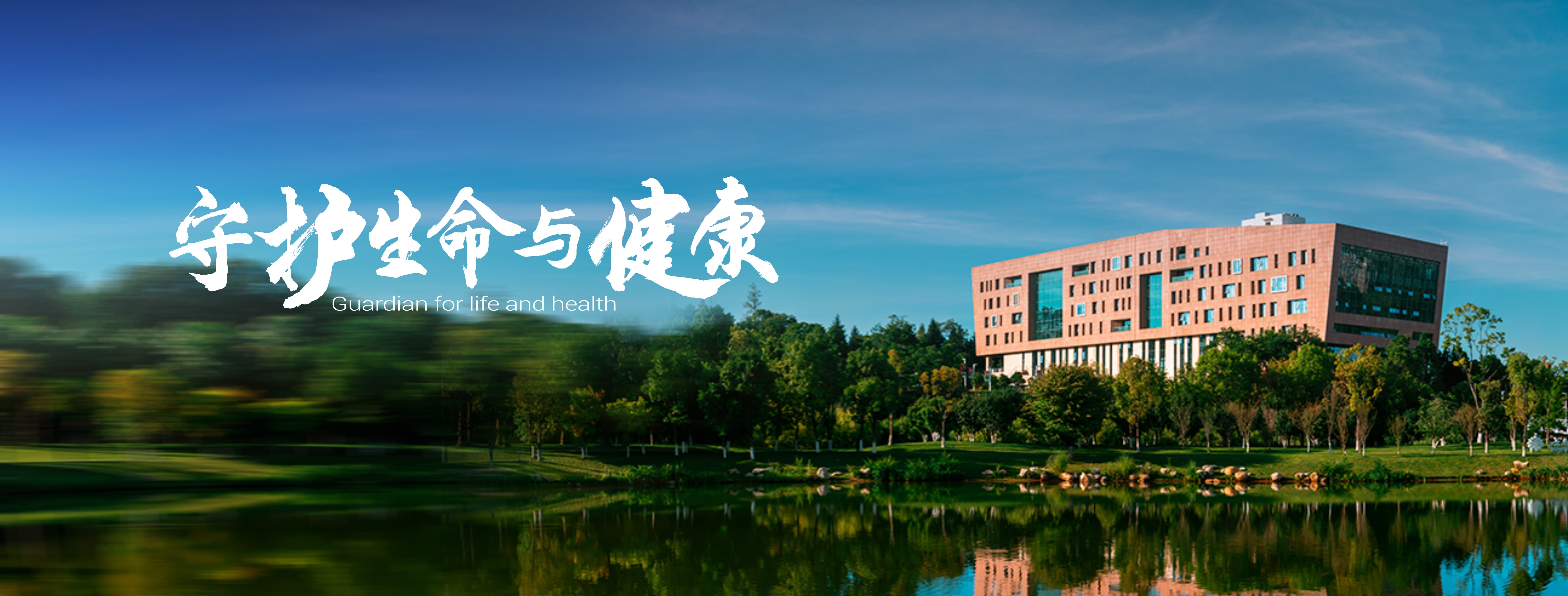 糖果派对 - 更优质的游戏运营商官网